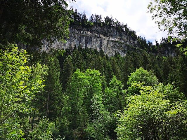 Accrobranche du Dahu